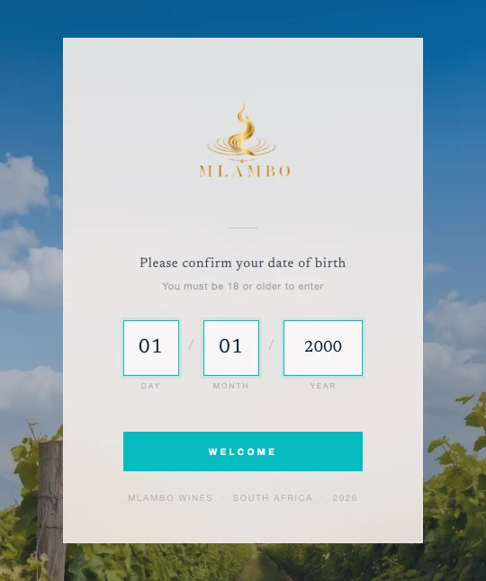Age confirmation state with the welcome button shown before the prototype continues